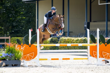Springpaard in de etalage: King HBC