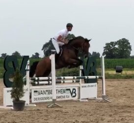 Jowel succesvol in Balkbrug