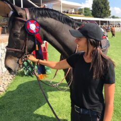Sportresultaten HBC paarden in de internationale sport: