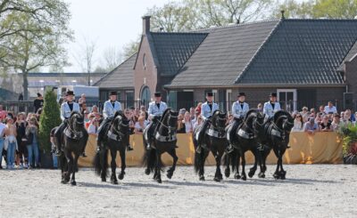 2e Paasdag hengstenshow De Nieuwe Heuvel