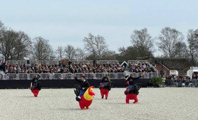 Geslaagde hengstenshow 2e Paasdag in Lunteren