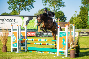 export springpaarden HBC Stal