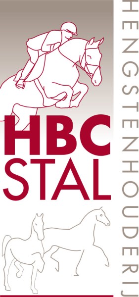 logo HBC-Stal 2010-fc middel