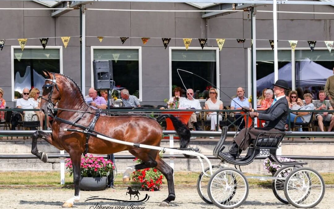 Bijzonder optreden van onze 4-jarige Sjimmie HBC